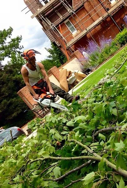 about_tree_surgeon_kent_east_sussex_cropped about tree surgeon kent east sussex