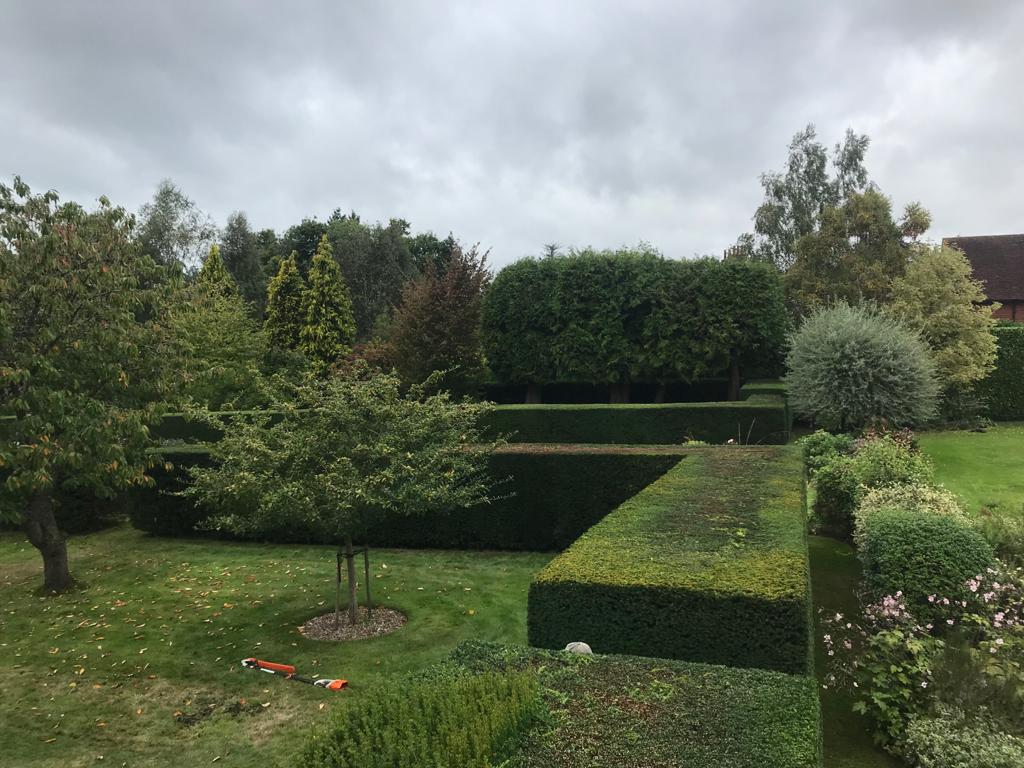 hedge cutting Kent 2:2